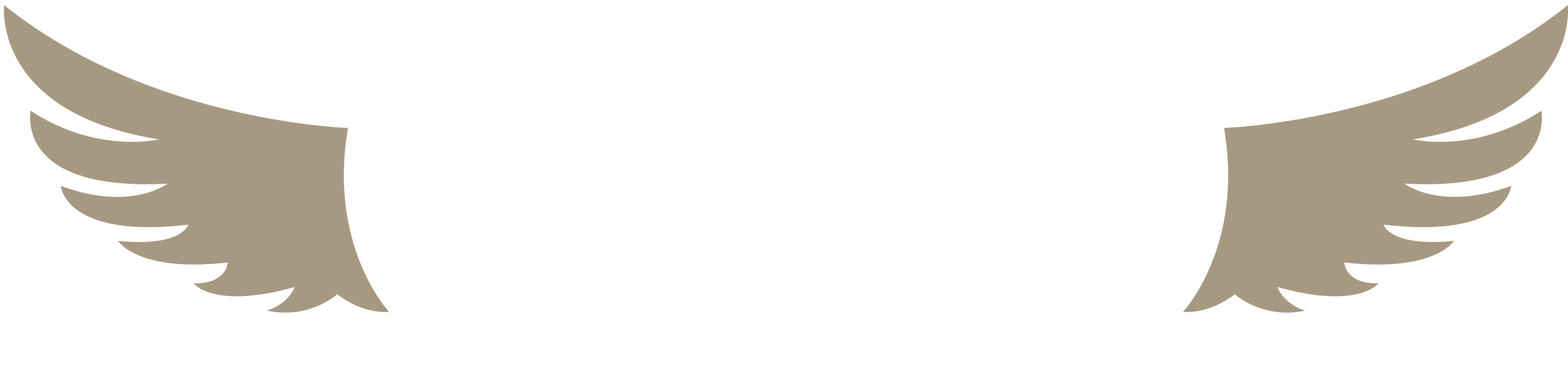 Dallas Column
